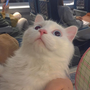 小🐔🐔伸进🈲🔞🔞男男视频
